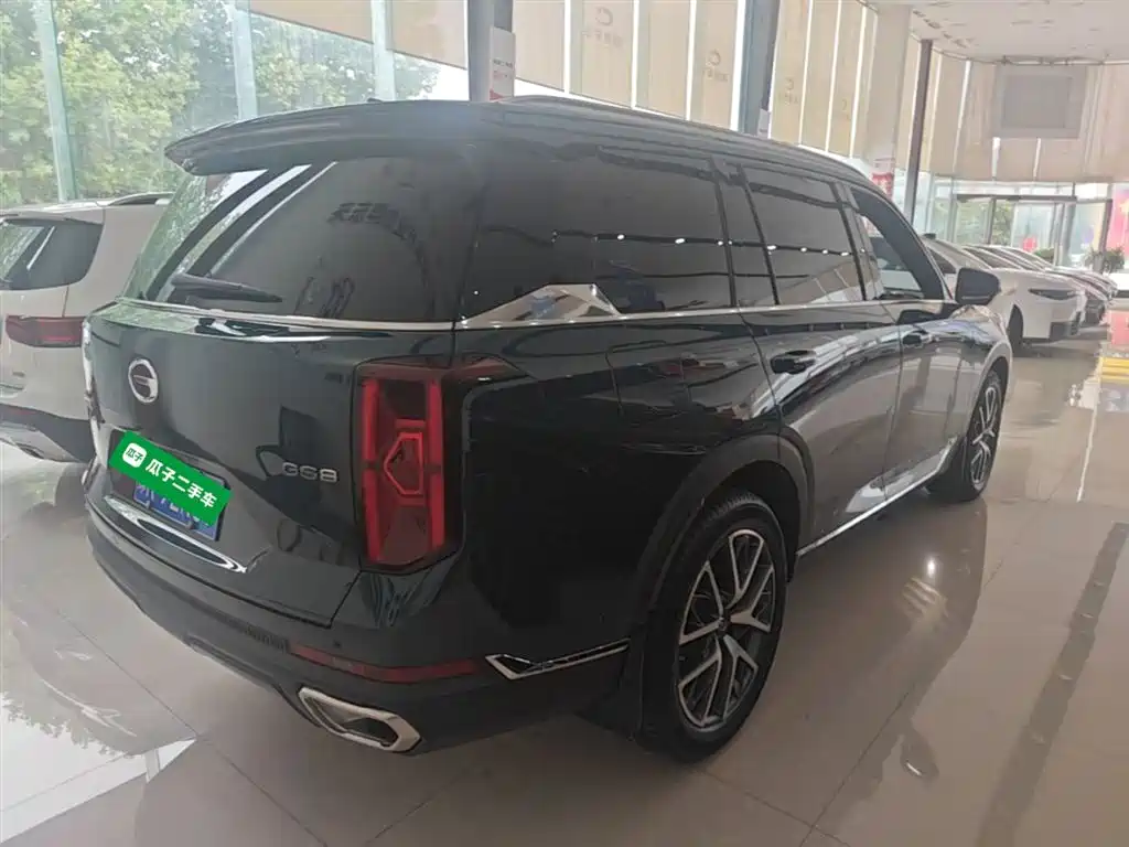 GAC Trumpchi Trumpchi GS8 2022 Pilot Series 2.0TGDI 2WD Premium Edition (6-Seater) фото 7