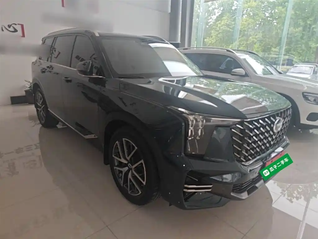 GAC Trumpchi Trumpchi GS8 2022 Pilot Series 2.0TGDI 2WD Premium Edition (6-Seater) фото 4
