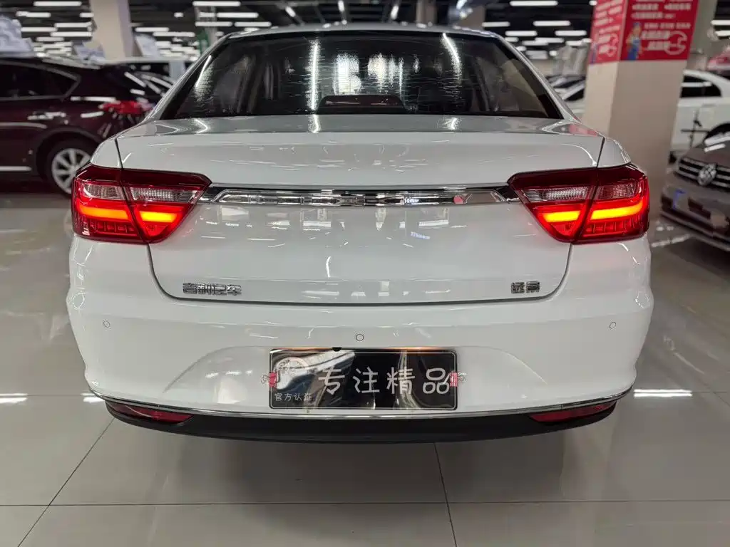 Фото 8 - Geely Vision