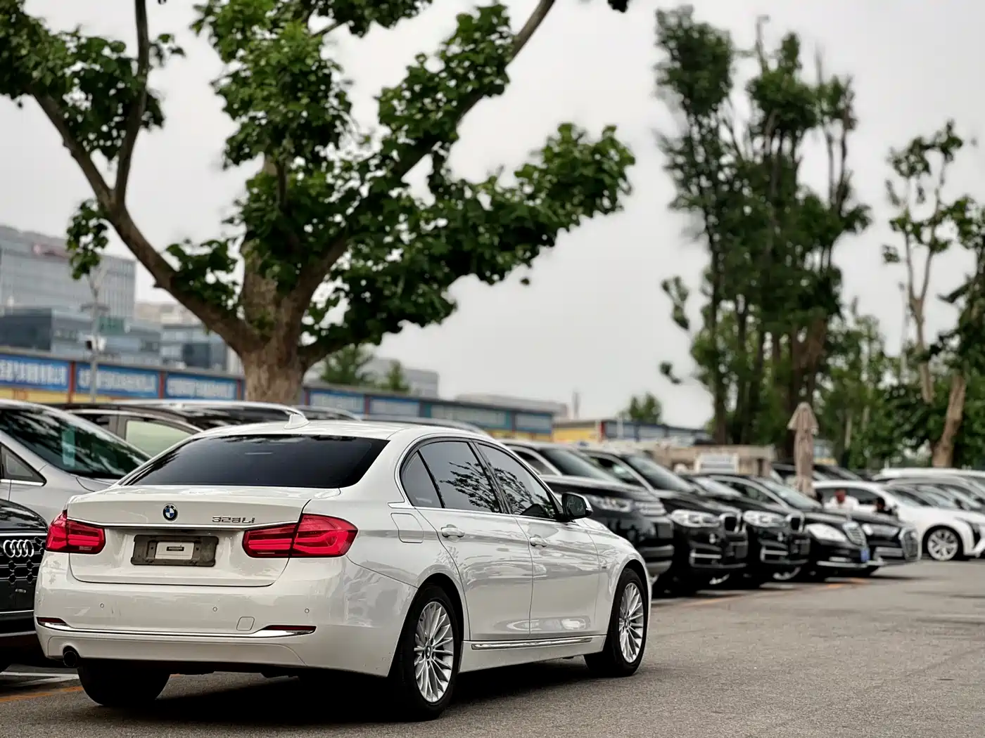 BMW 3 Series 2016 320Li Luxury Design Package фото 8
