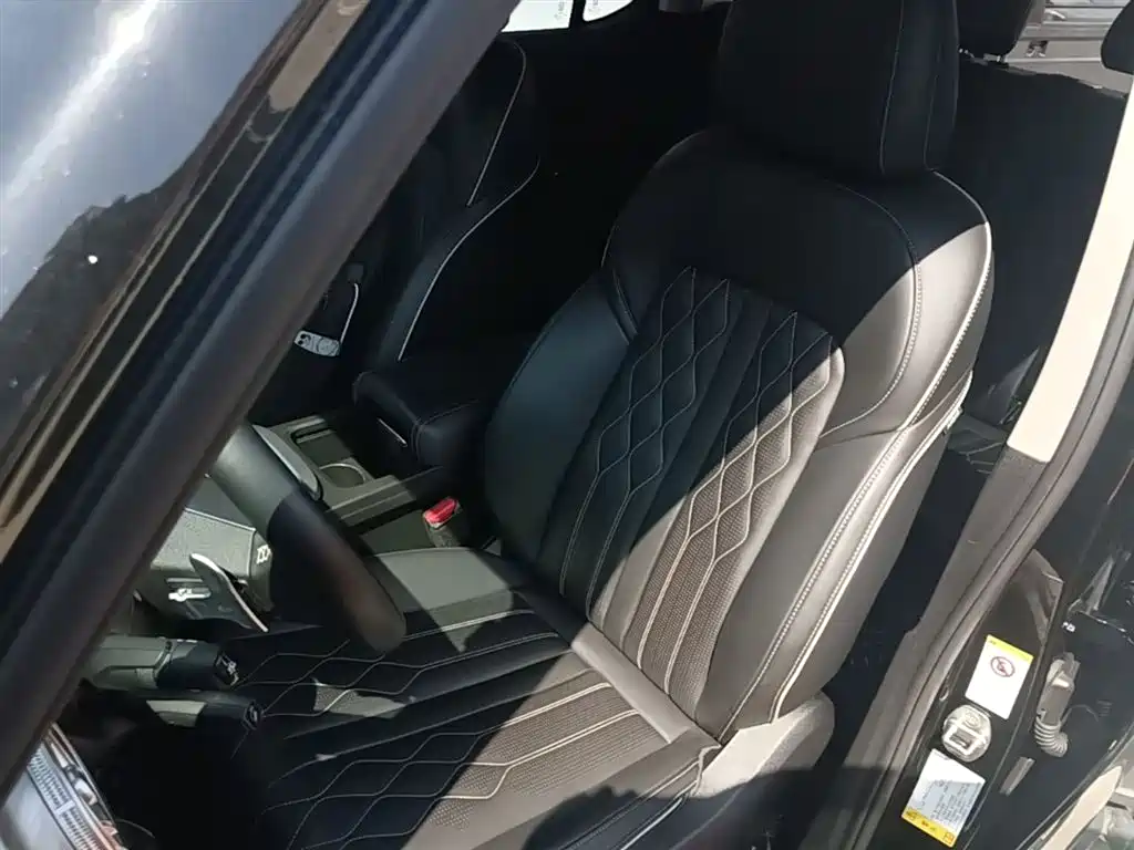 Tank 300 2021 Off-road Edition 2.0T Challenger фото 15