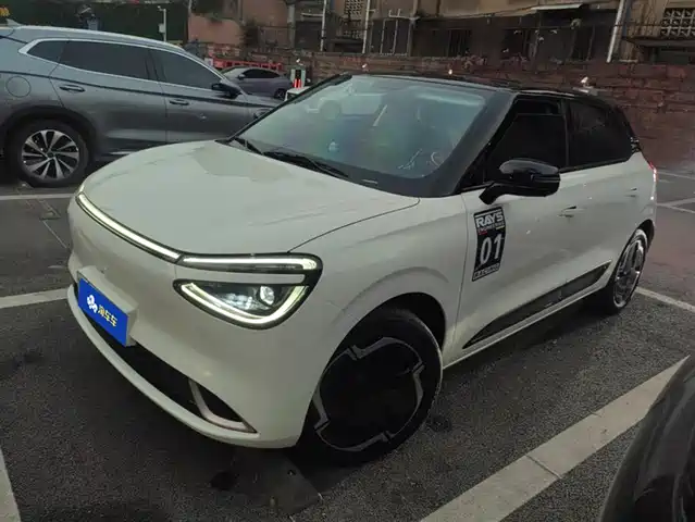 Dongfeng Yipai Nano 01 2024 330 Plus