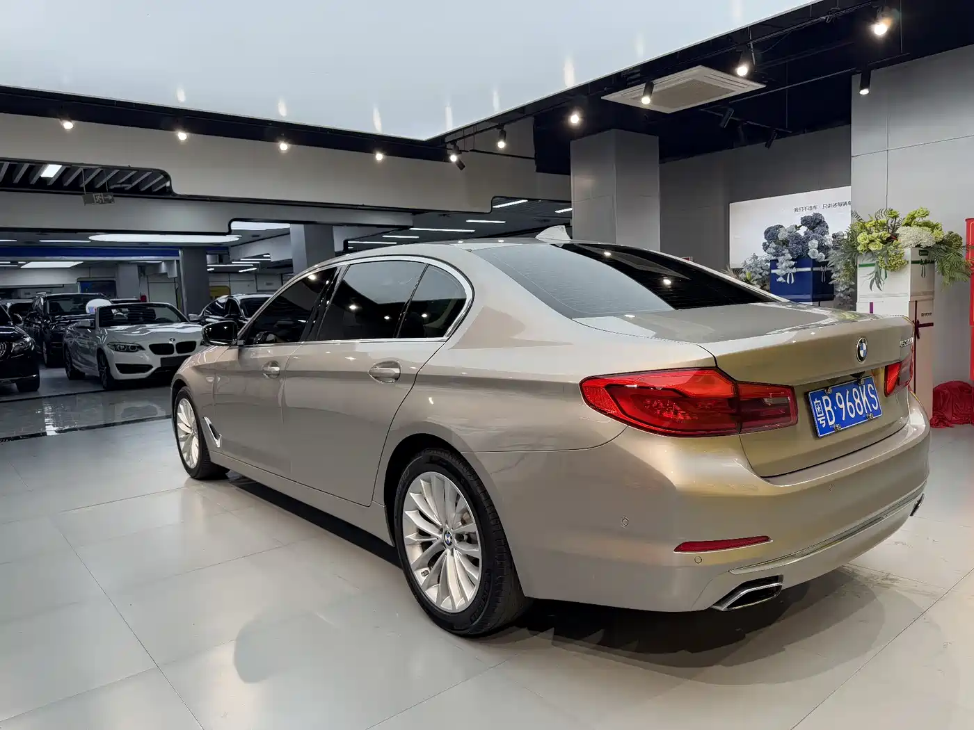 BMW 5 Series 2020 530Li Premium Luxury Package фото 7