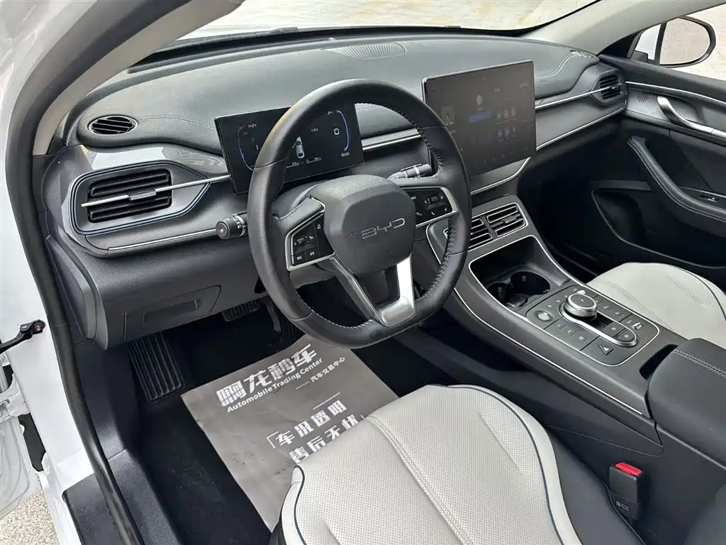 BYD Destroyer 05 2024 Glory Edition DM-i 120KM Luxury фото 11