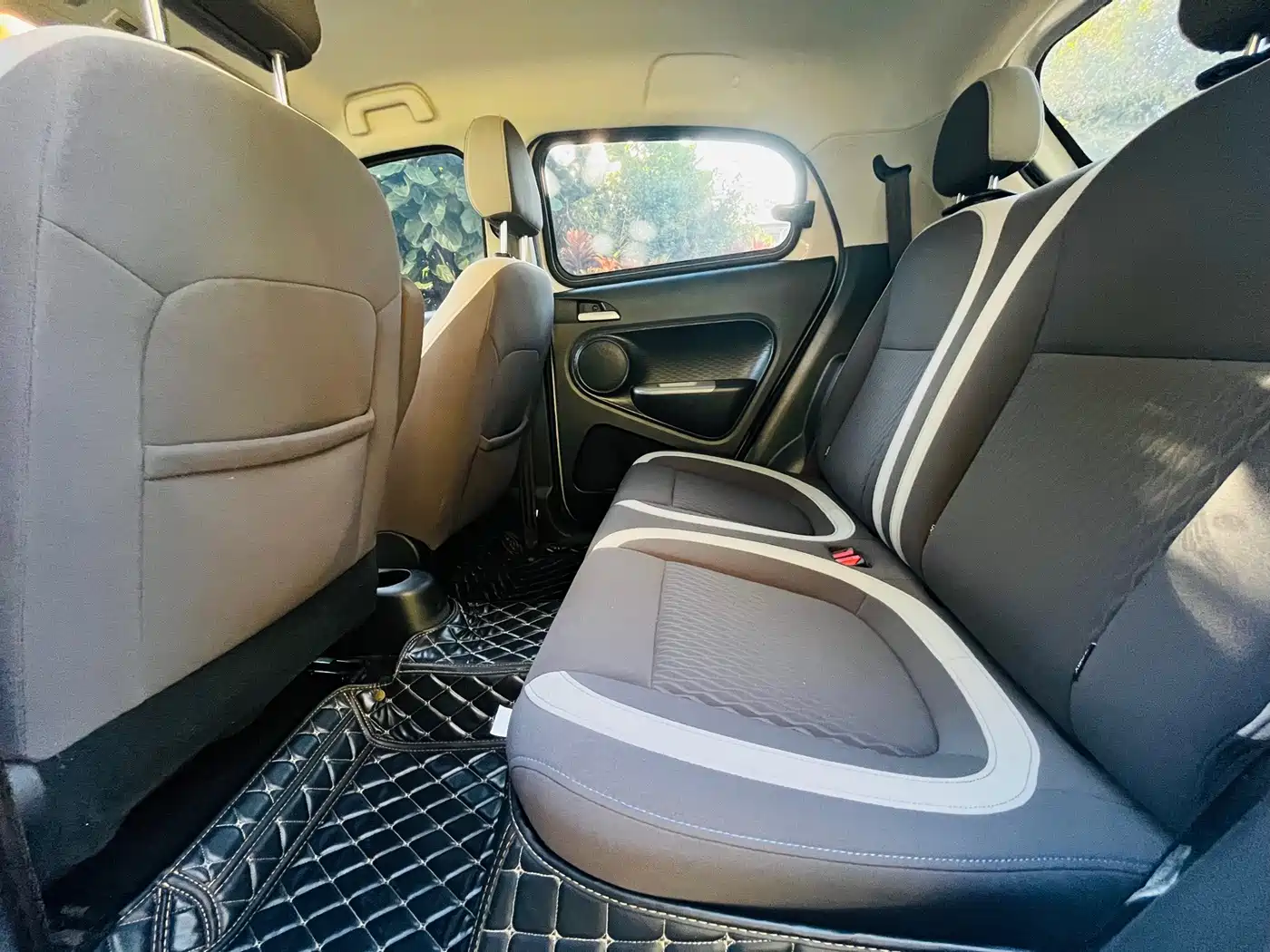 Ora Black Cat 2022 2022 301km Cute Pet Edition (LFP)