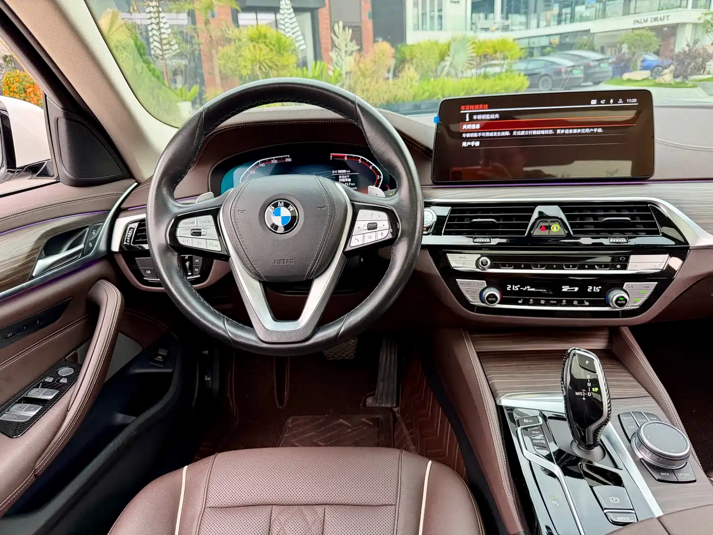 BMW 5 Series 2021 530Li Leading Luxury Package фото 11