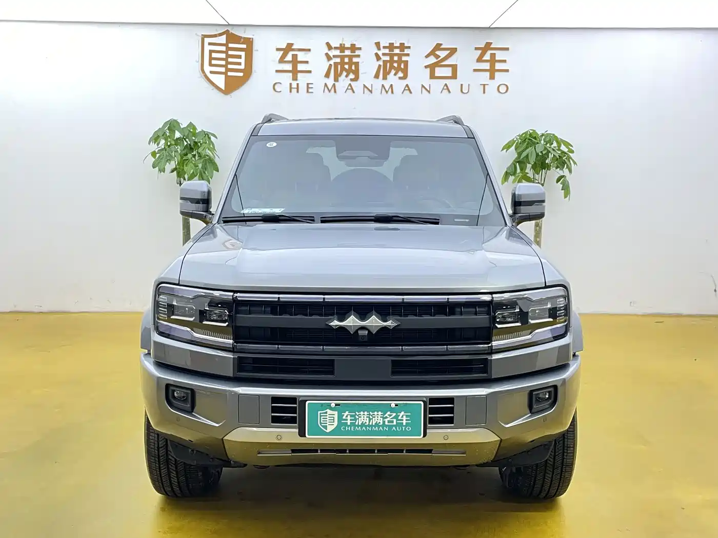 FANG CHENG BAO LEOPARD 5