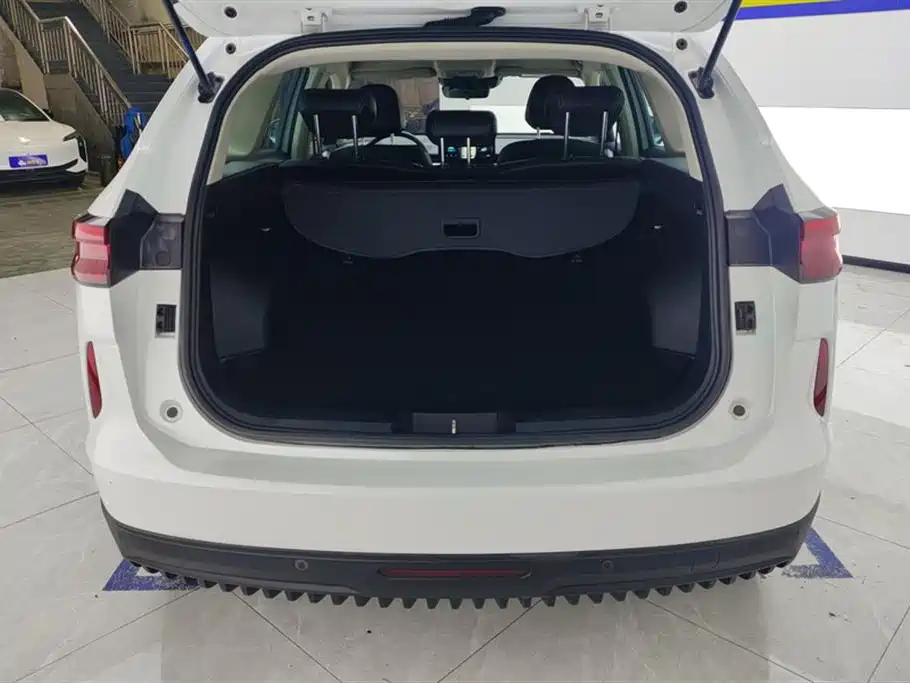 Haval H6 2021 3rd Generation 2.0T Auto 2WD Max фото 4