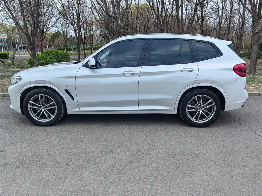 BMW X3 2018 xDrive25i M Sport Package China VI фото 3
