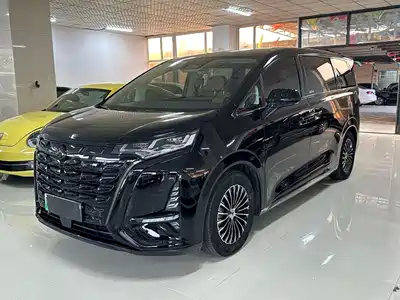 Denza D9