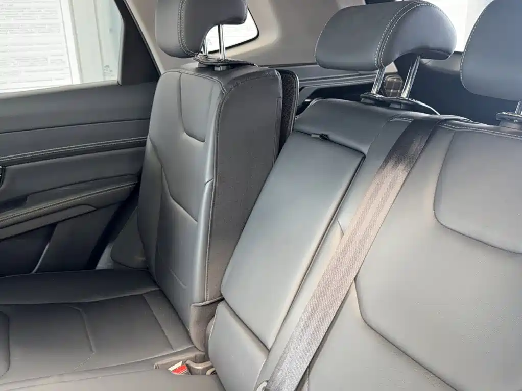 BYD Song Pro 2021 2019 1.5T Automatic Luxury