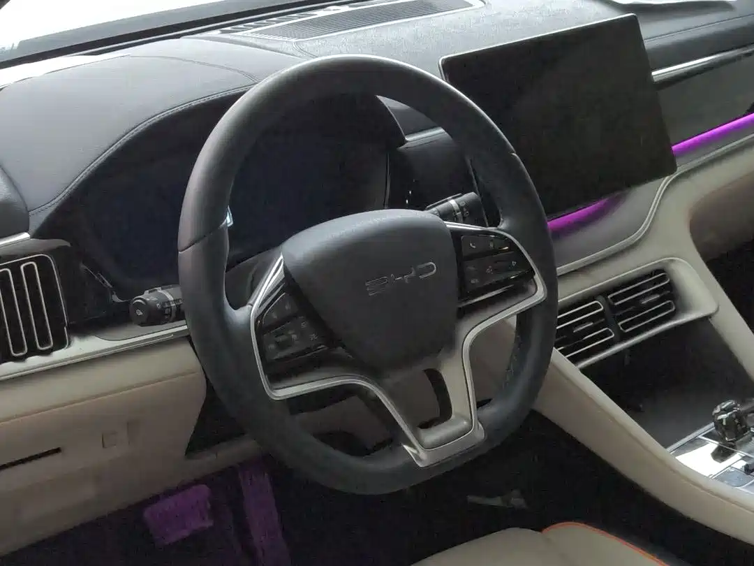 BYD SONGJIANG NEW ENERGY