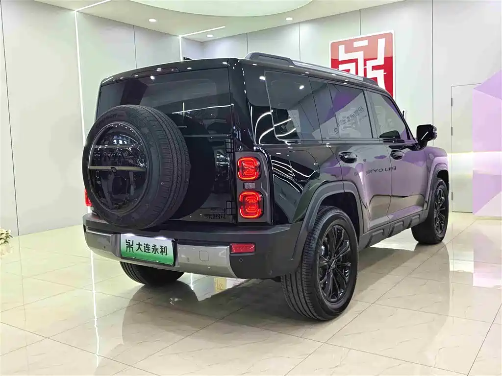 HAVAL RAPTORS NEW ENERGY