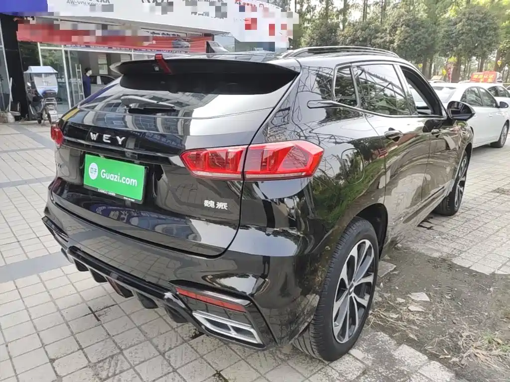 WEY VV7 2020 2020 2.0T Super Luxury