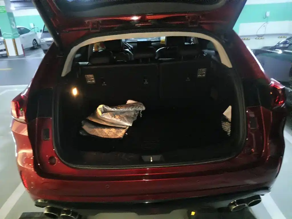 WEY VV5 2017 2017 2.0T Super Luxury Model