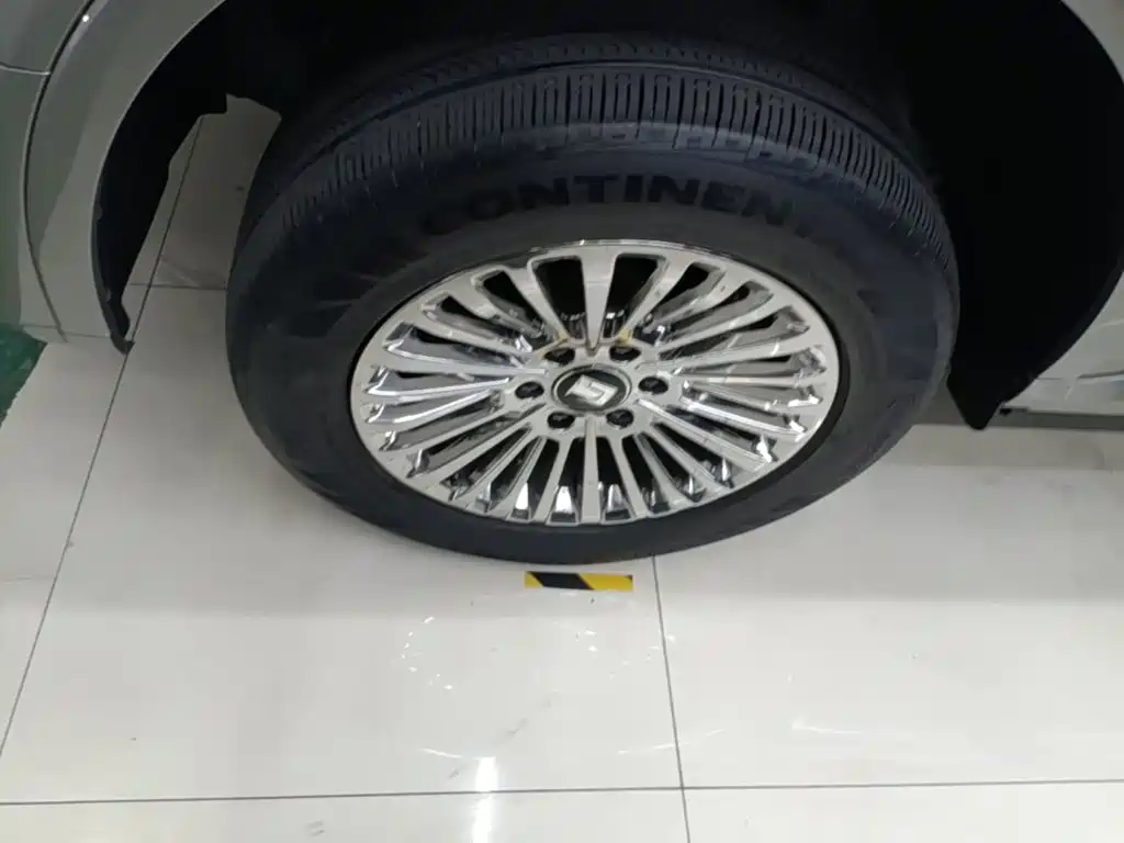 Tank 500 EV 2025 2024 Hi4-T