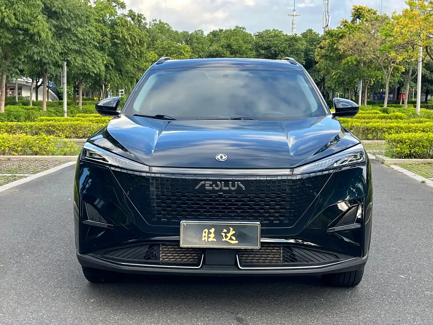 2025 Dongfeng Aeolus Haohan