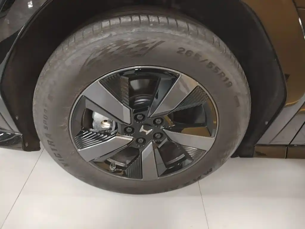 Honda P7 2025 2025 RWD Long Range Pro