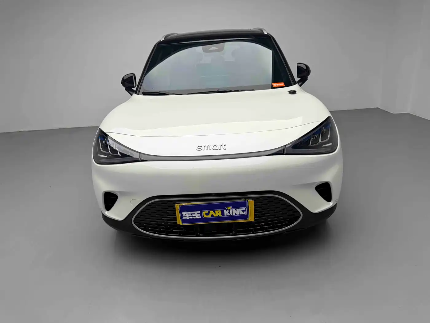 smart Elf #1 2025 2024 Agile Standard Edition