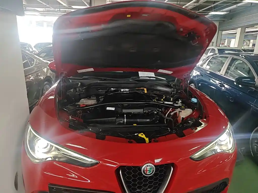 Alfa Romeo Stelvio 2017 2017 2.0T 200HP Elite