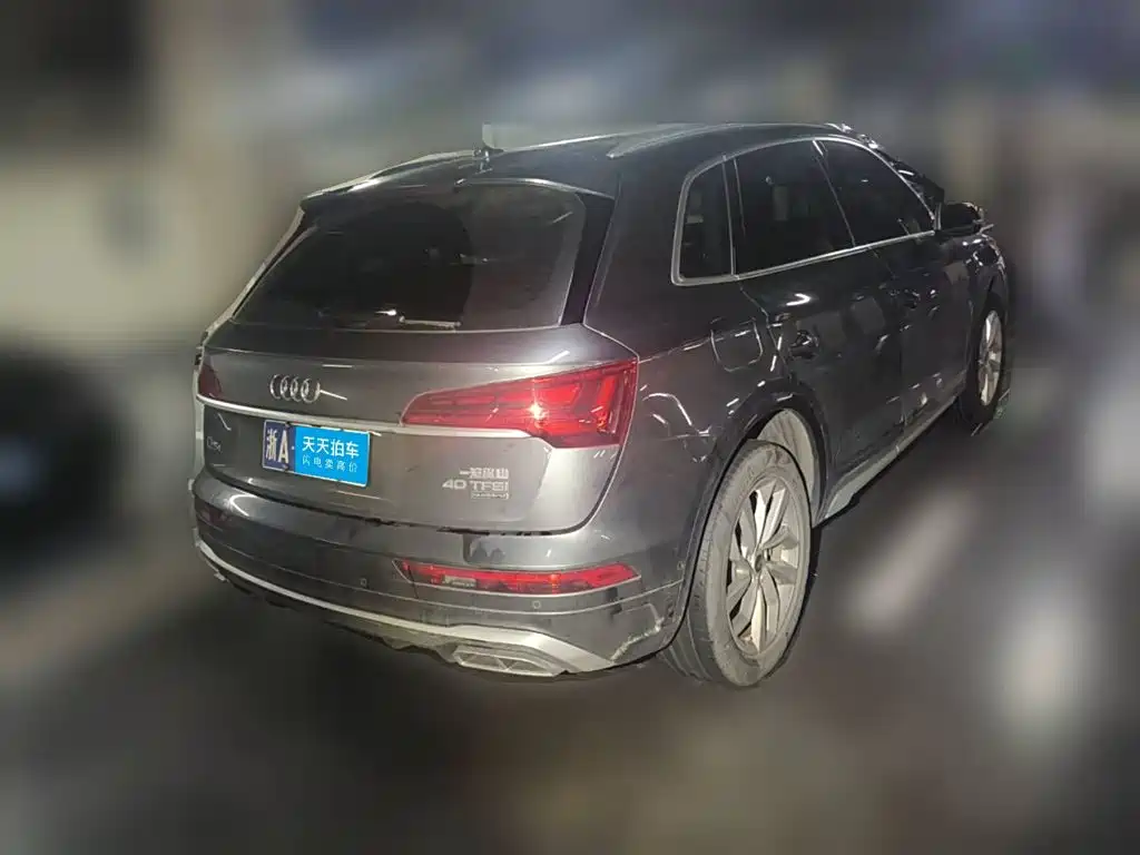 Audi Q5L, миниатюра 2