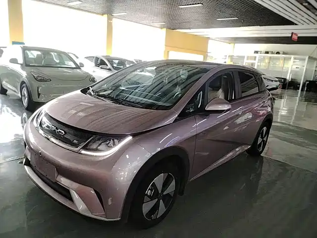BYD Dolphin 420km, Стиль