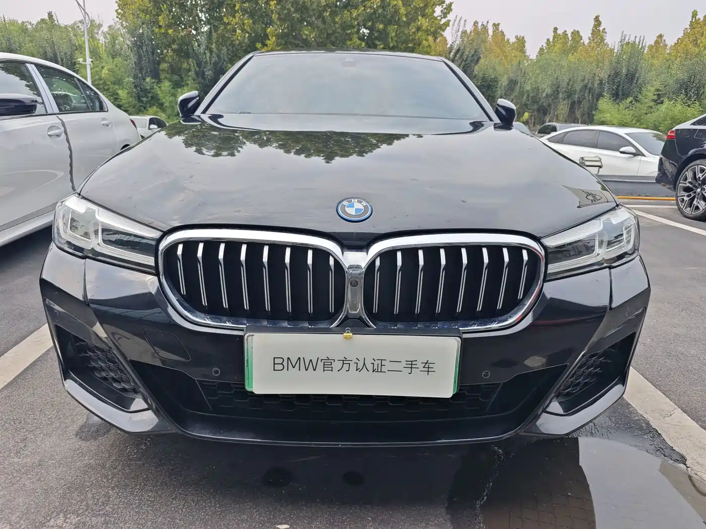 2024 BMW 5 Series New Energy