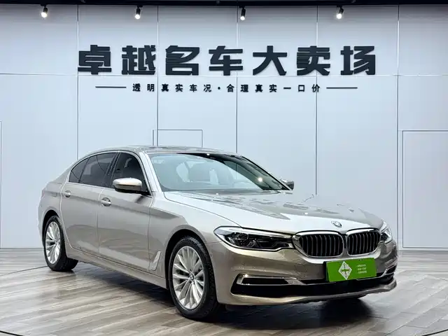 BMW 5 Series New Energy 2019