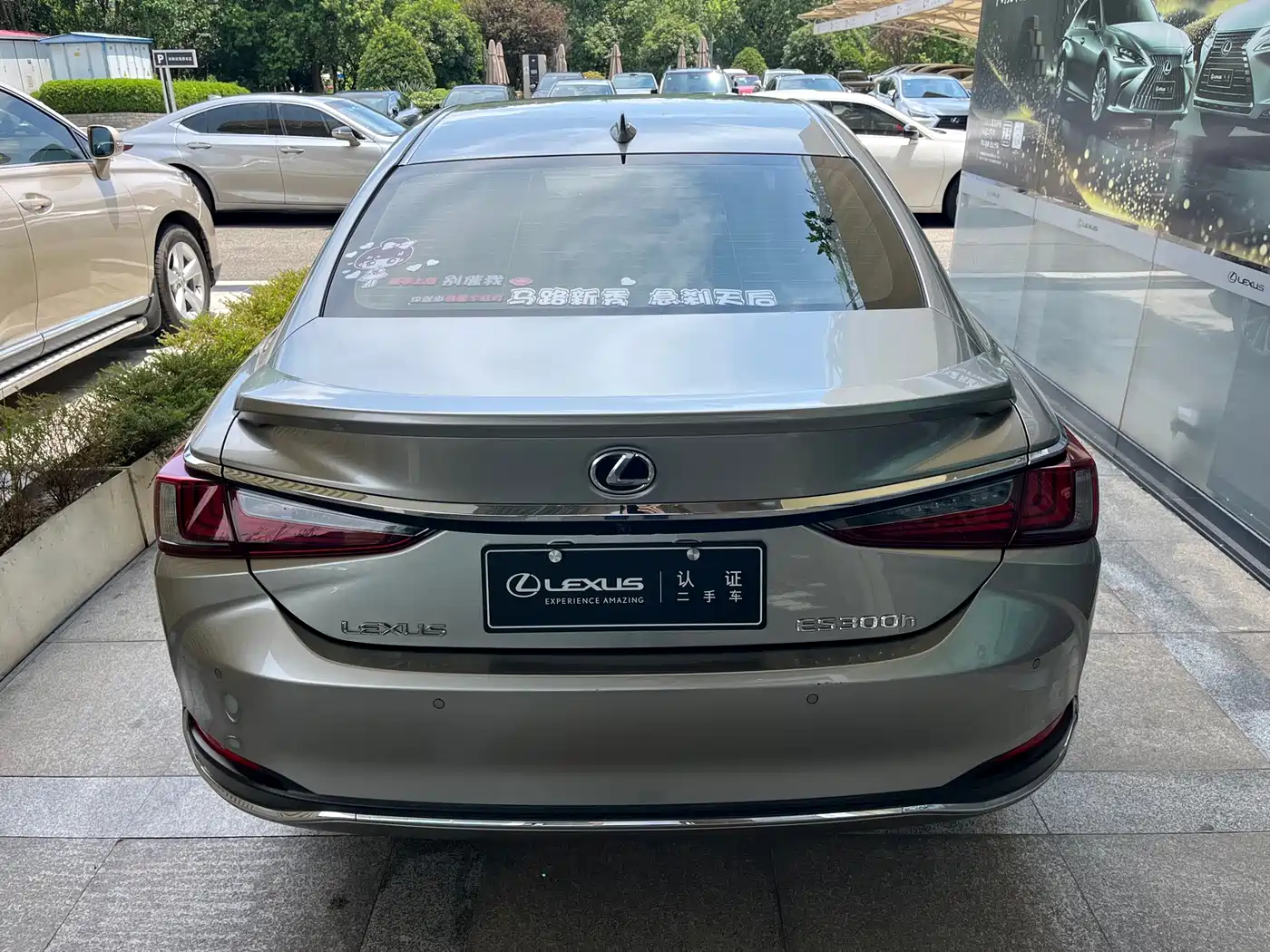 Фото 6 - Lexus ES