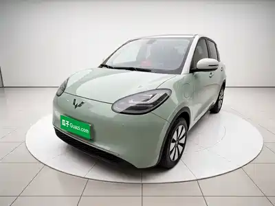 Wuling Bingo