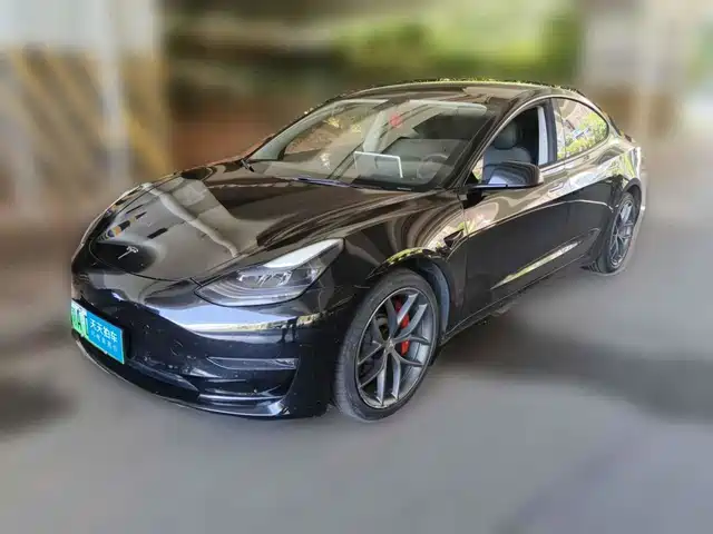 Tesla Model 3 2022 Performance High-Performance AWD — фото 1