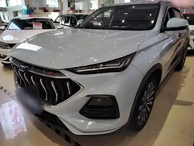 Changan Oshan X5