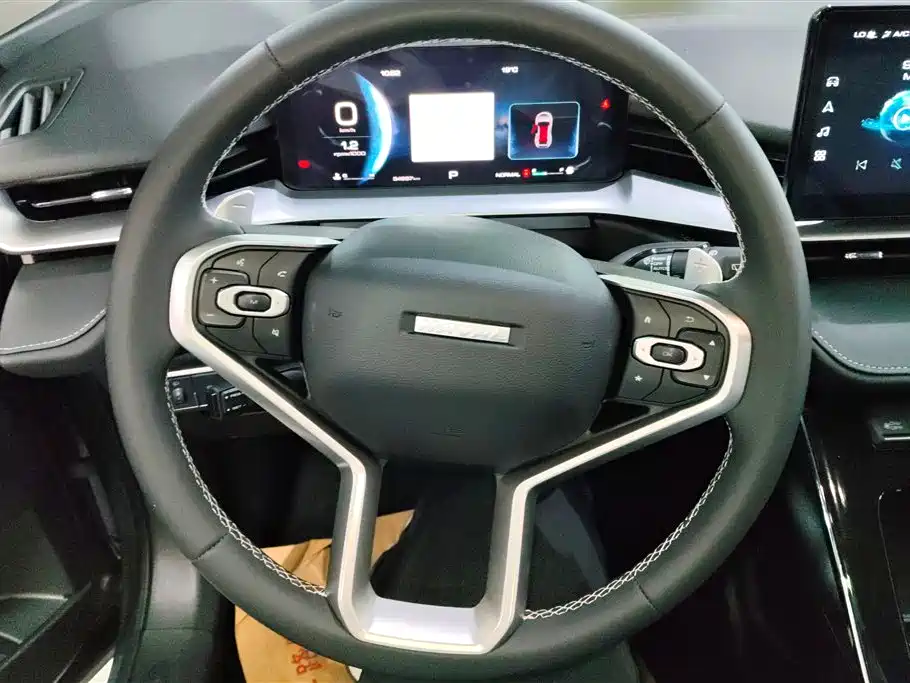 Haval H6 2021 3rd Gen 1.5T Auto 2WD Pro фото 15