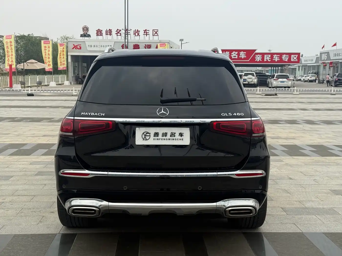 Mercedes-Benz Maybach GLS 2022 GLS 480 4MATIC фото 9