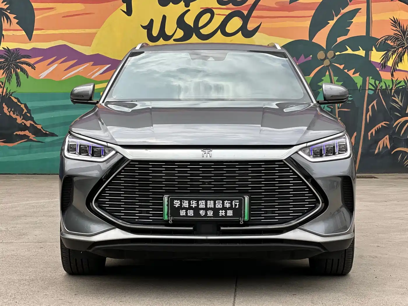 BYD Song PLUS PHEV 2021 DM-i 110KM Flagship PLUS фото 2