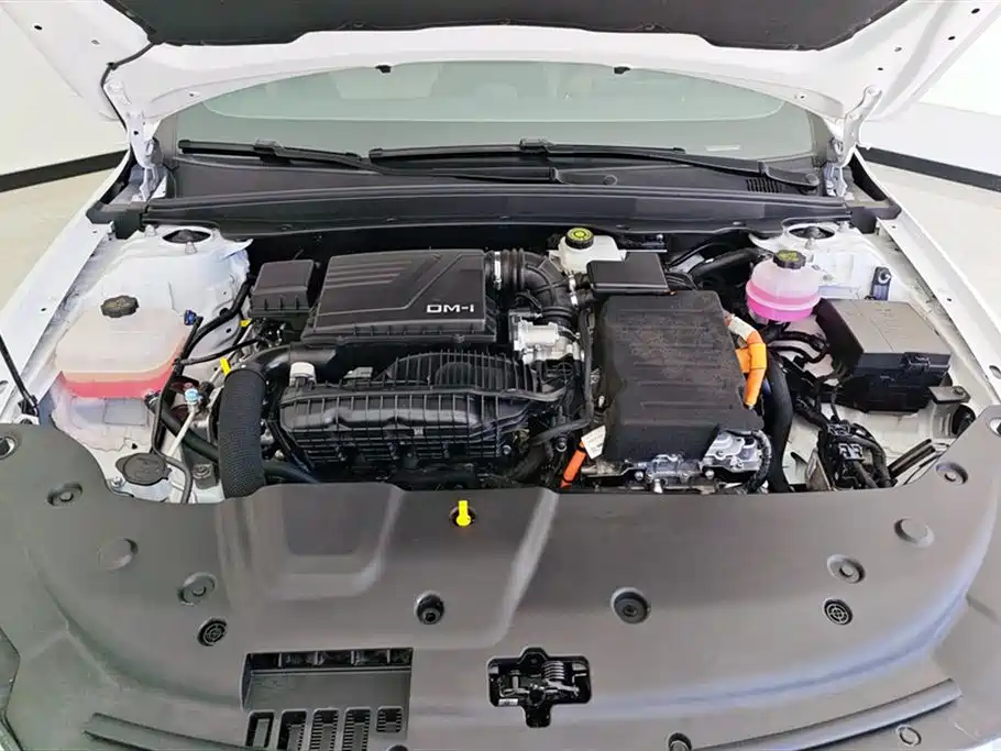BYD Qin PLUS 2024 Glory Edition DM-i 55KM Leading фото 10