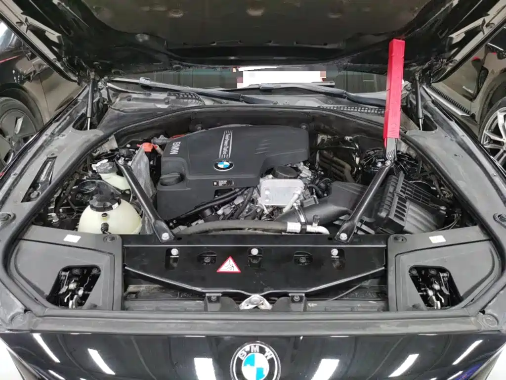 BMW 5 Series 2014 525Li Leading фото 19