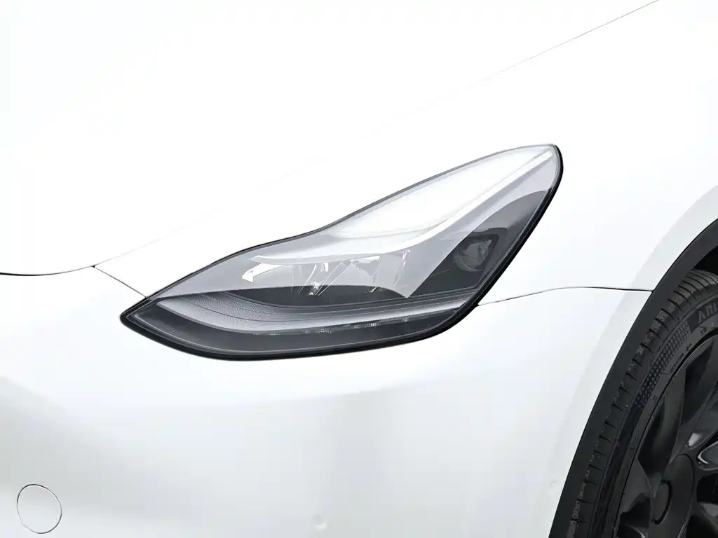 Tesla Model Y 2021 2021 Long Range All-Wheel Drive 3D7