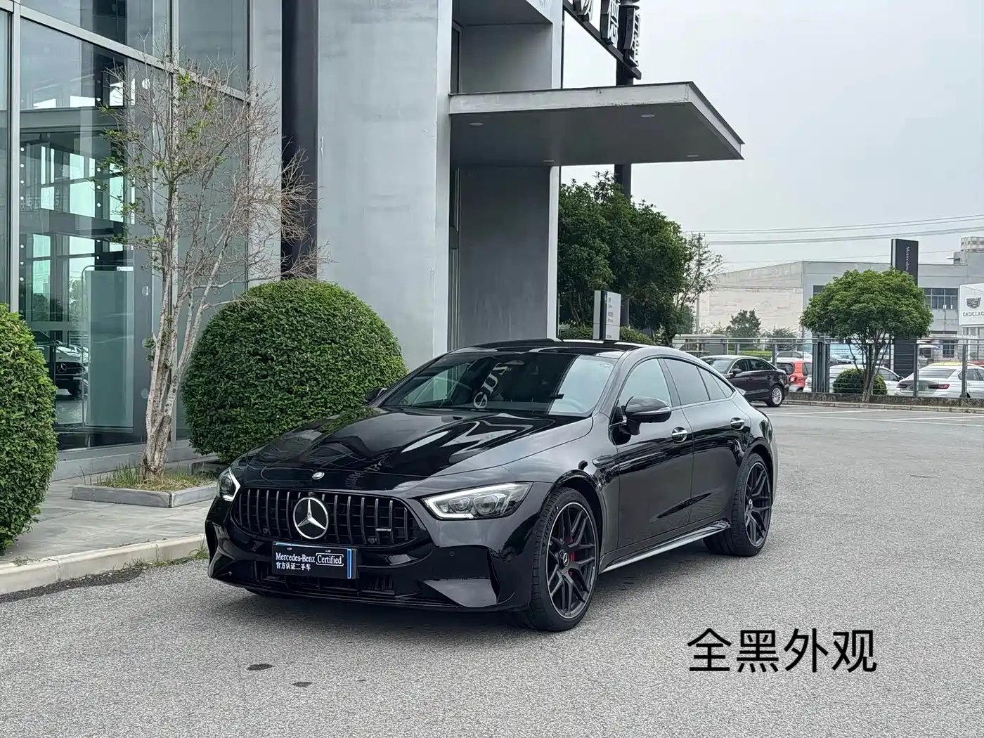 Mercedes-Benz AMG GT 2025 AMG GT 50 4-Door Coupe China Special Edition
