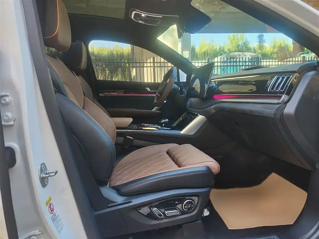 BYD Tang New Energy 2021 DM-i 112KM Honor фото 25