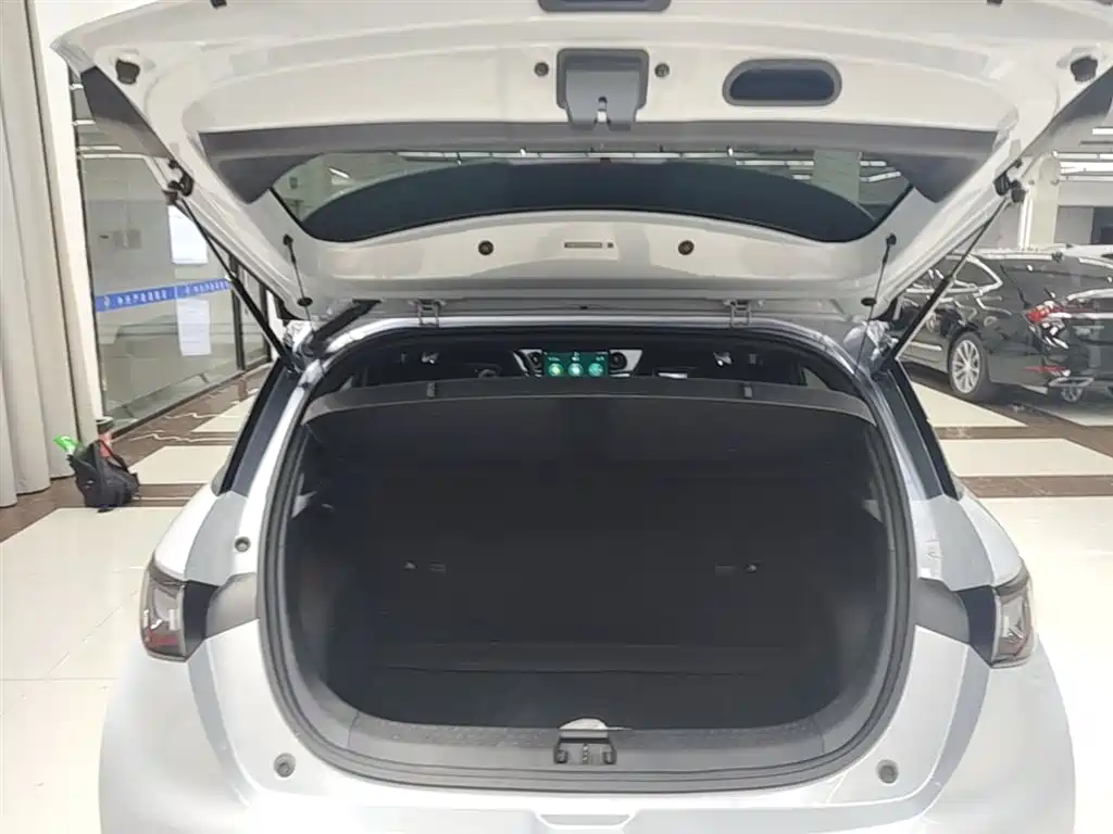 BYD Dolphin 2021 401km Knight Edition фото 19