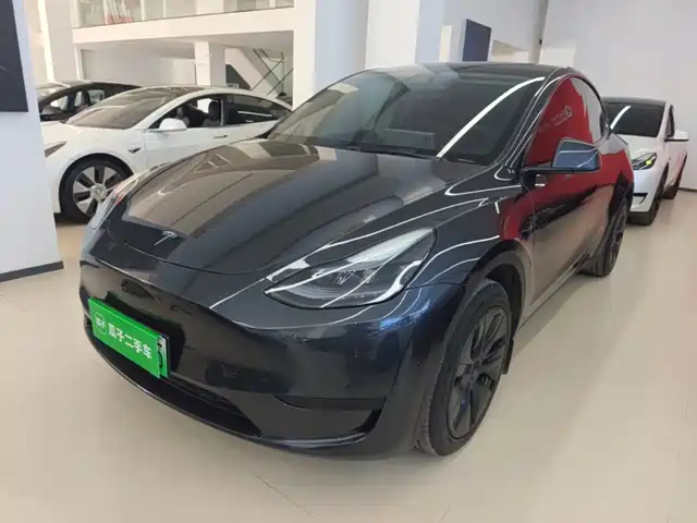 Tesla Model Y Задний привод
