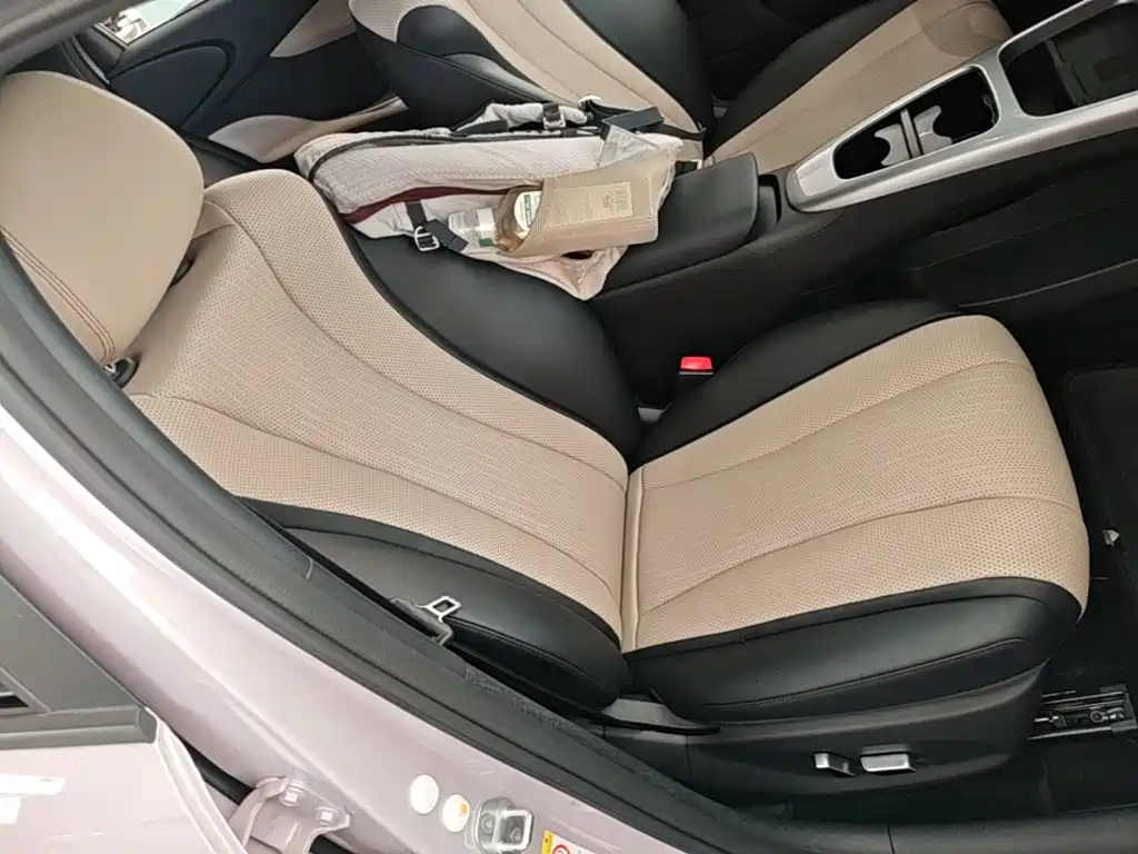 BYD Dolphin 2025 2025 Smart Drive Edition 410km Fashion Version