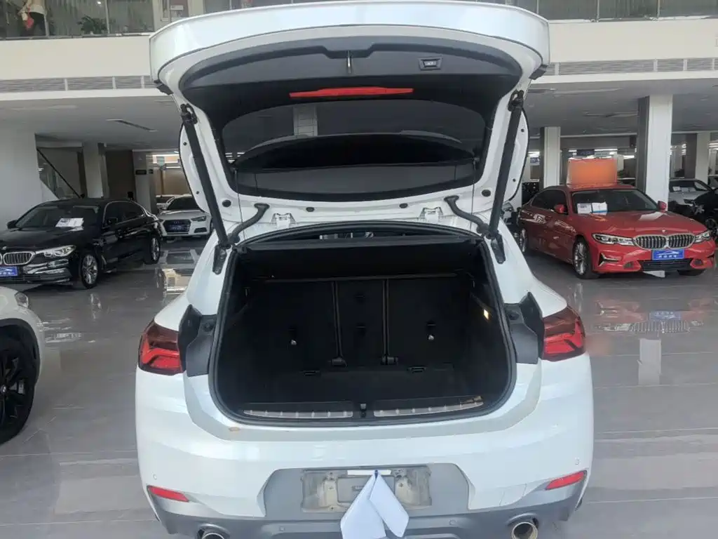 BMW X2 2020 2021 sDrive25i Leading M Off-Road Package