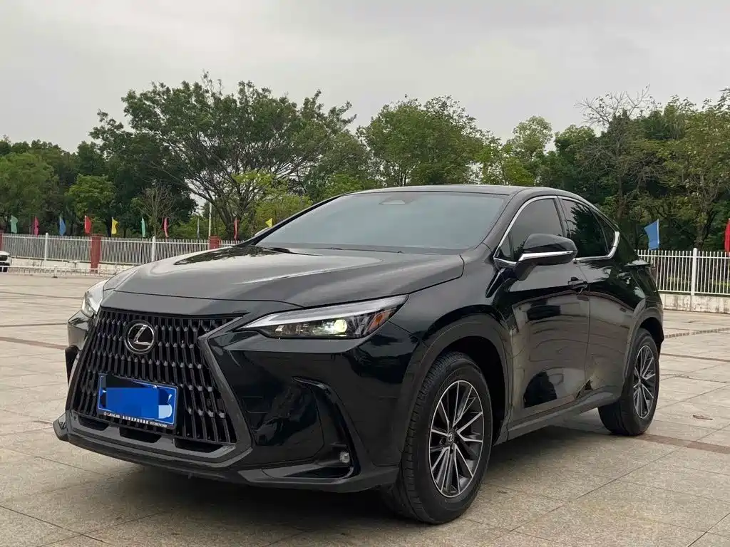 Lexus NX 2023 2023 260 FWD Joy Creation Edition