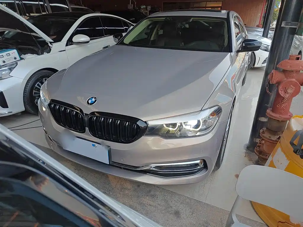 BMW 5 Series 2018 530Li Leading Luxury Package фото 19