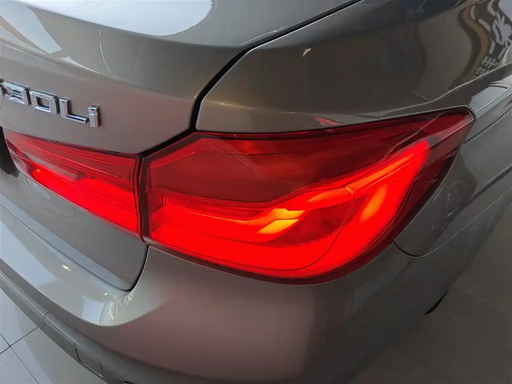 BMW 5 Series 2018 530Li Leading Luxury Package фото 24
