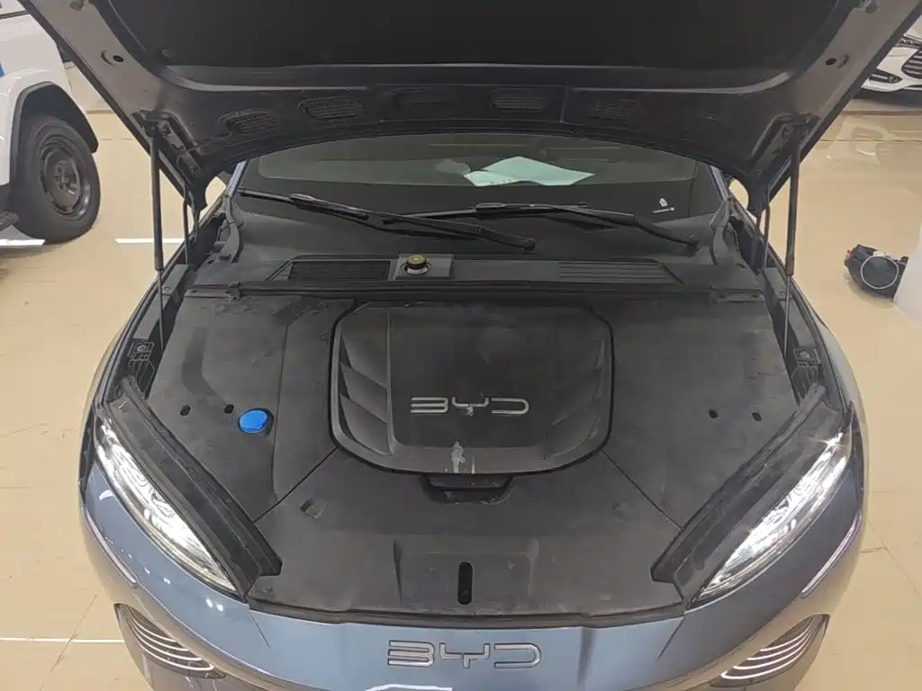 BYD Seal 2024 2024 Glory Edition 550km Premium