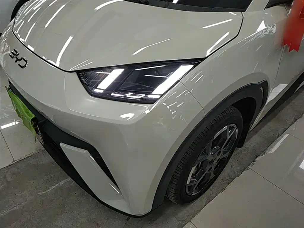 BYD Seagull 2025 305km Freedom фото 24