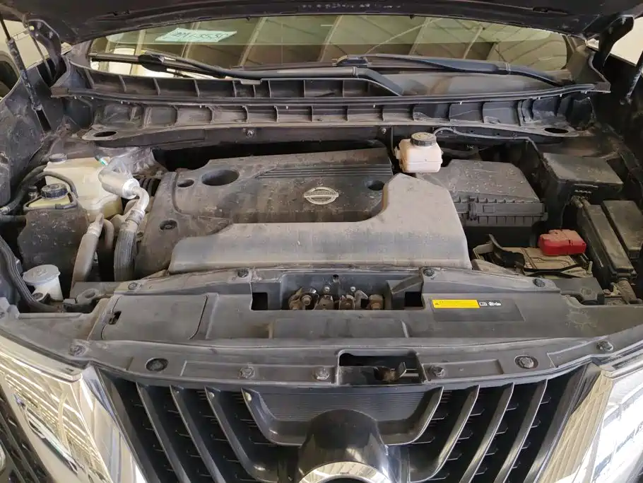 Nissan Murano 2019 2019 2.5L XL 2WD Smart Connect Luxury (China V)